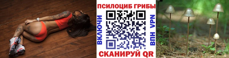 Псилоцибиновые грибы ЛСД  гидра ONION  Кириллов 